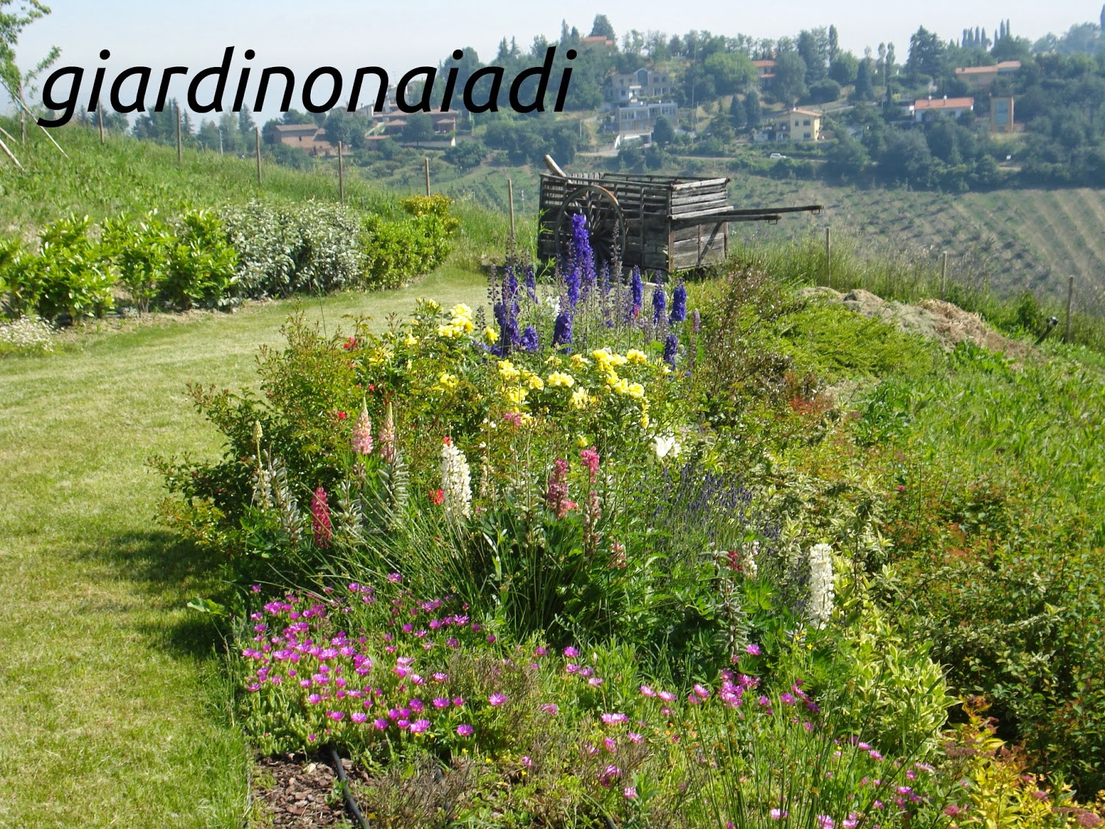 Bandiere classiche fantasmi in campagna vintage rustica per