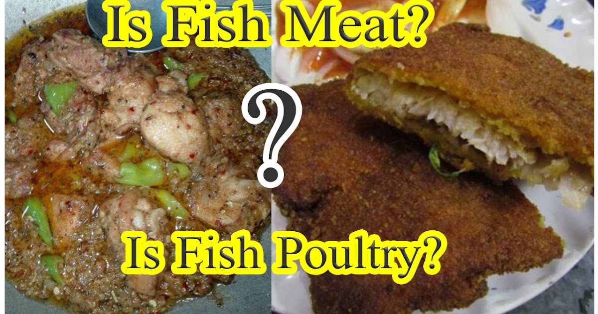 Vet in Pakistan Is fish meat? Is fish poultry?
