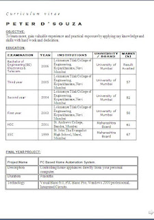skill based resume examples