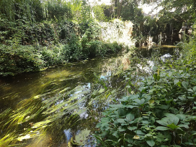 2019 - GR 32 : entre Seine et Loire, balade gâtinaise. Partie 1. Lundi 05 août 2019 IMG_20190805_131937