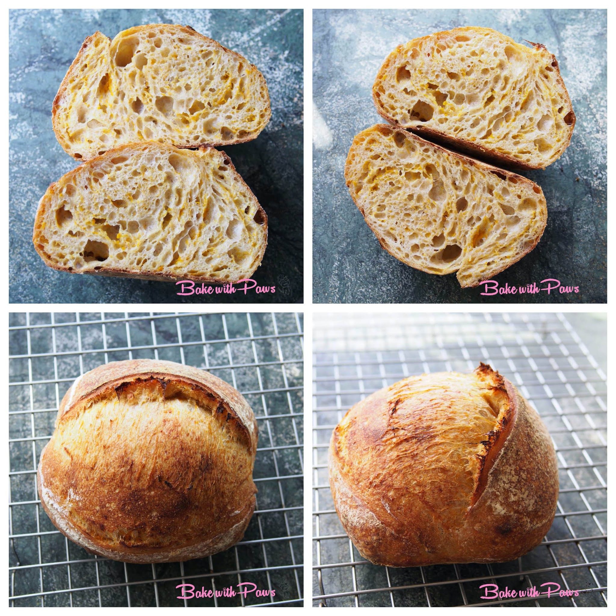 Pumpkin Open Crumb Sourdough Bread BAKE WITH PAWS