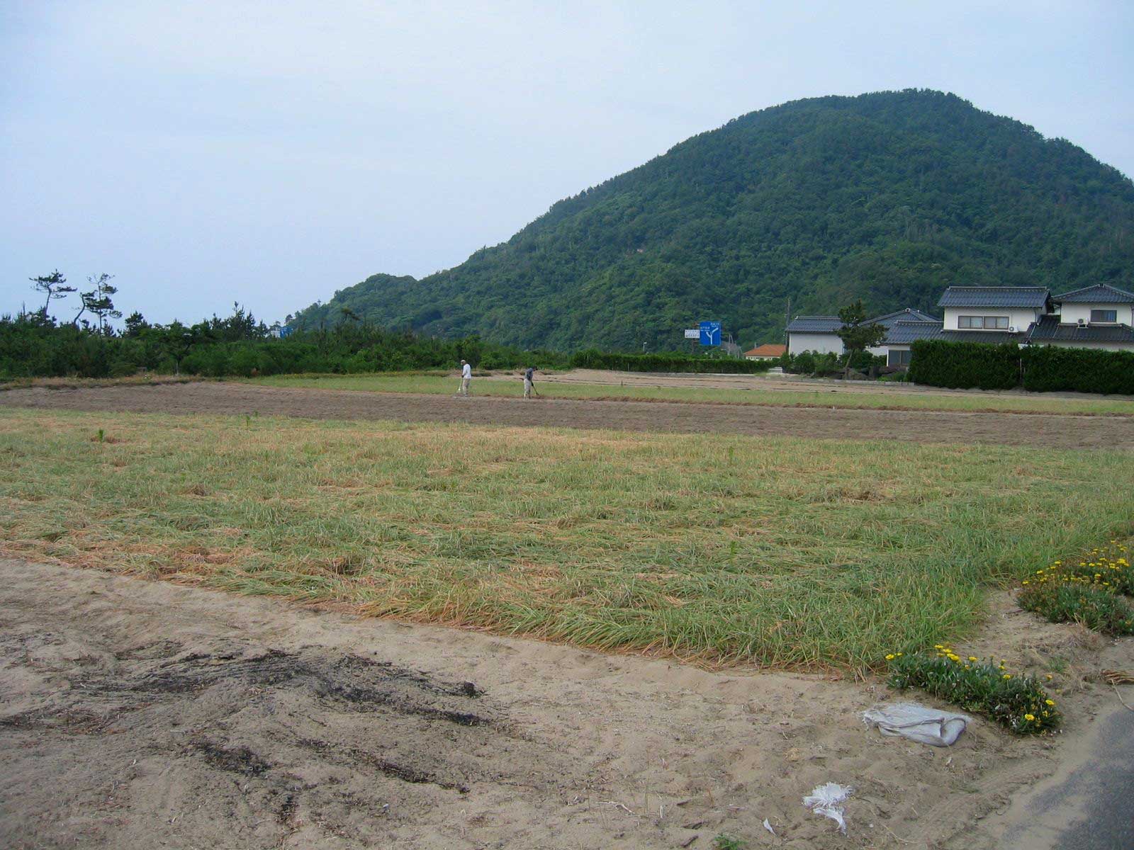 鳥取INABA因幡 砂丘らっきょう_海士_福部町_福部駅