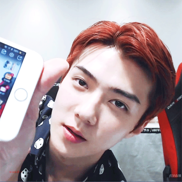 어제자 엑소 팬들의 비뚤어진 팬심 | 인스티즈