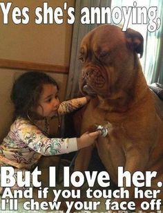 James Dazouloute News N Quotes 50 Best Ones