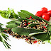 Herbal Food Supplements For Weight Loss