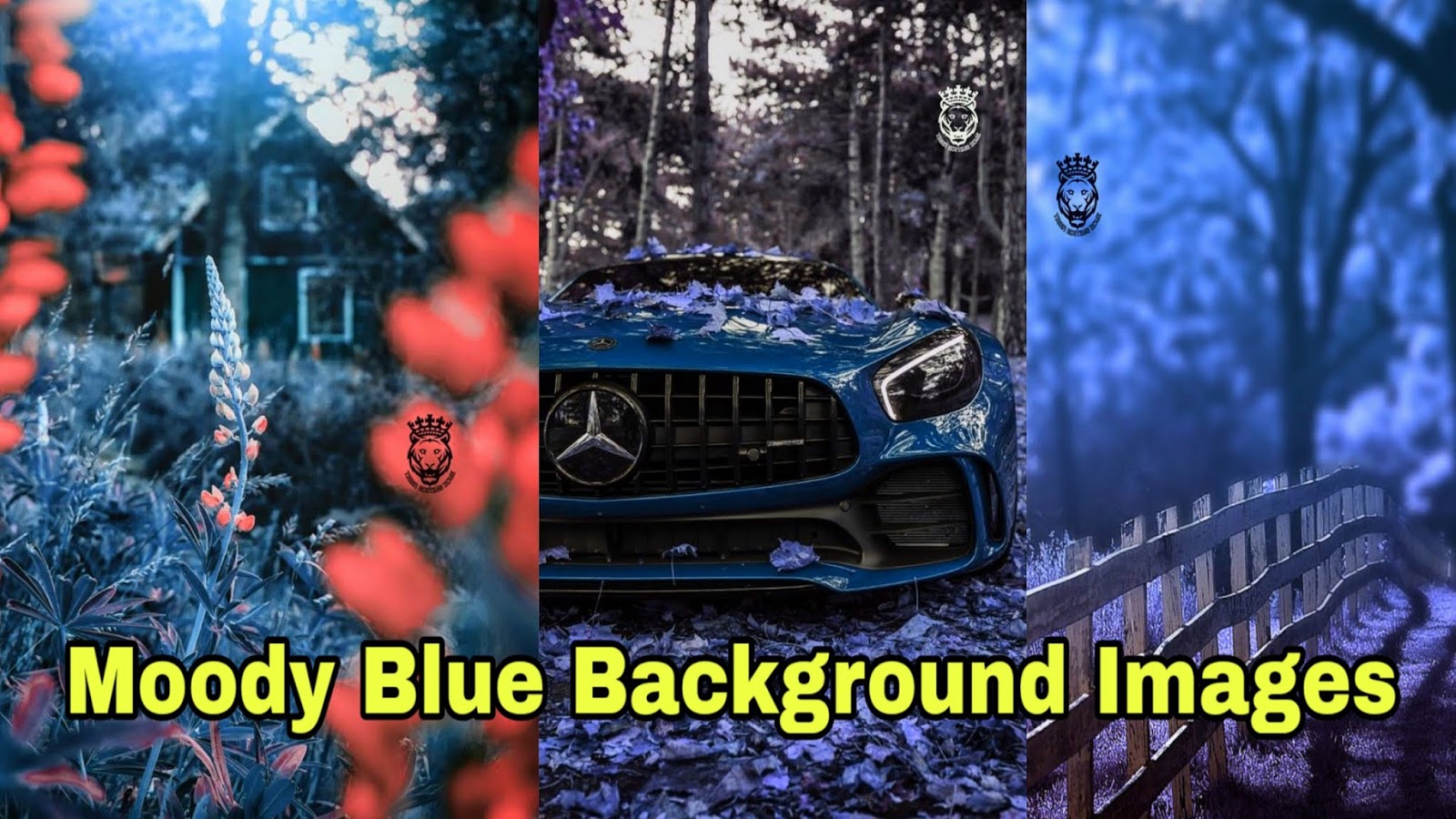 500+ Blue Background HD for Editing Moody Blue Photo Editing