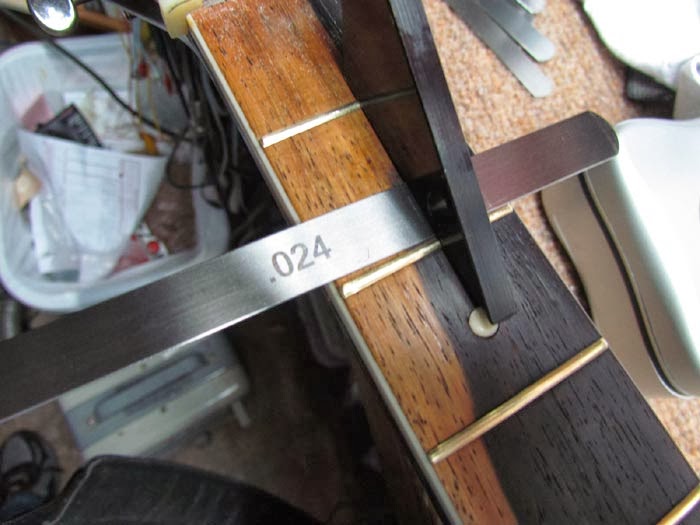 Bone Nut and Saddle for Kay K22 Guitar Crawls Backward (When Alarmed)