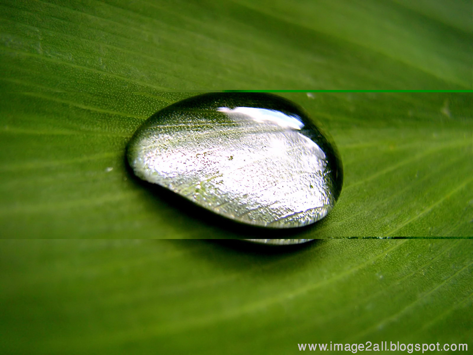 santai bae: HD Wallpaper