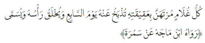 Akikah dan Kurban BELAJAR PAI