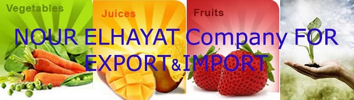 NOUR ELHAYAT   Company FOR export & IMPORT