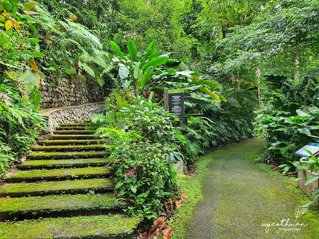 The Habitat, Penang Hill