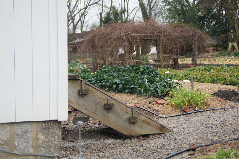 Elm Street Gardens Sparta, GA