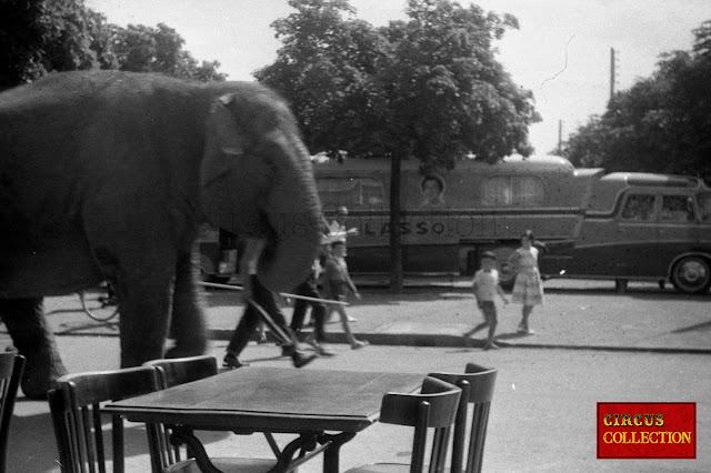 éléphants du cirque Pinder 1958 marchant devant le camion assomption habitation de Gloria Lasso