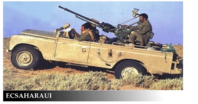 Ejército Saharaui; Etapas de desarrollo y formación.