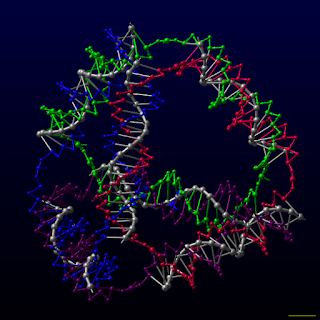 Bir DNA tetrahedron yapsını modeli