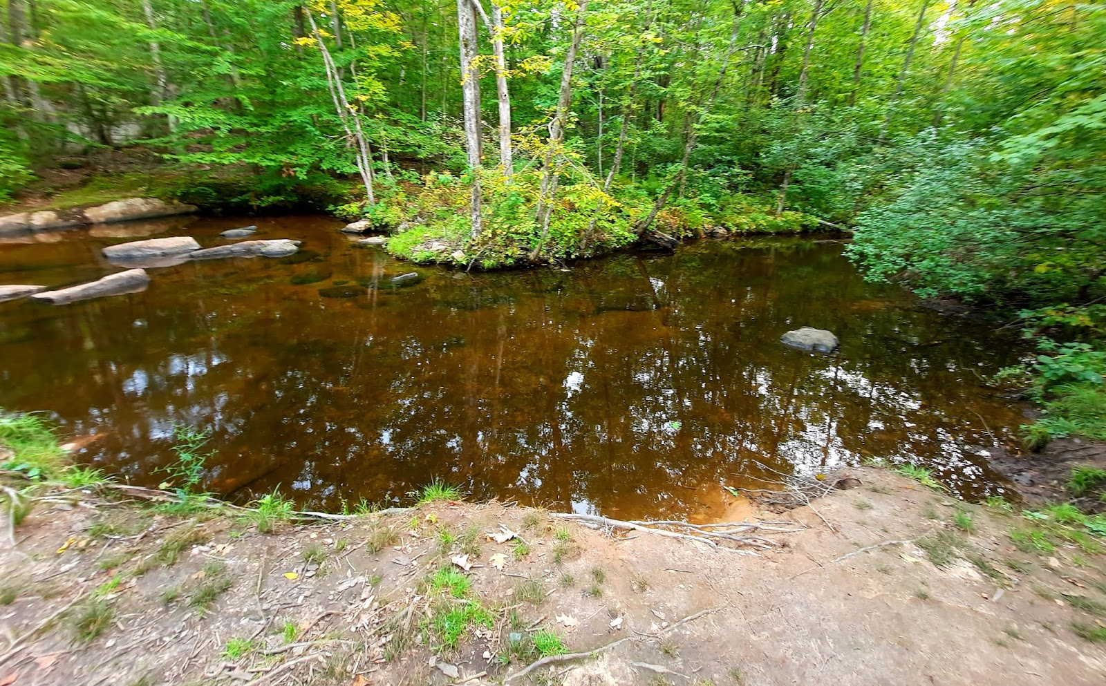What A View!!! CAMPGROUND REVIEW Chute Pond Oconto County Park near