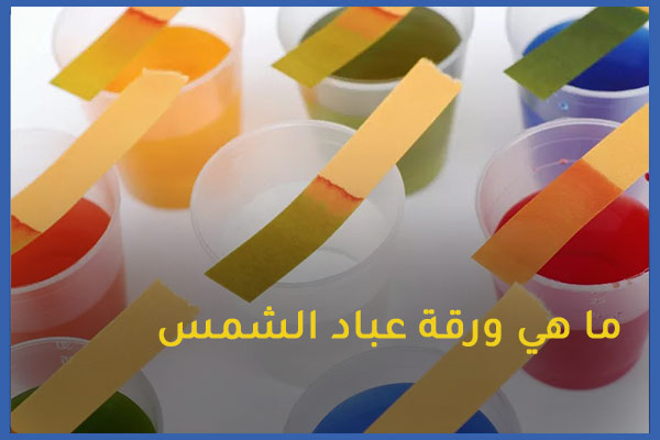 ورقة تباع الشمس