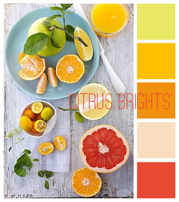 littletree designs: colour inspiration...'citrus brights'