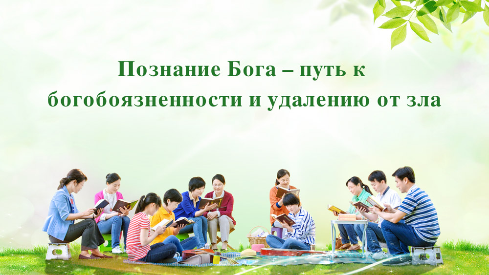 Восточная Молния | Церковь Всемогущего Бога | Изображение церковной жизни |
