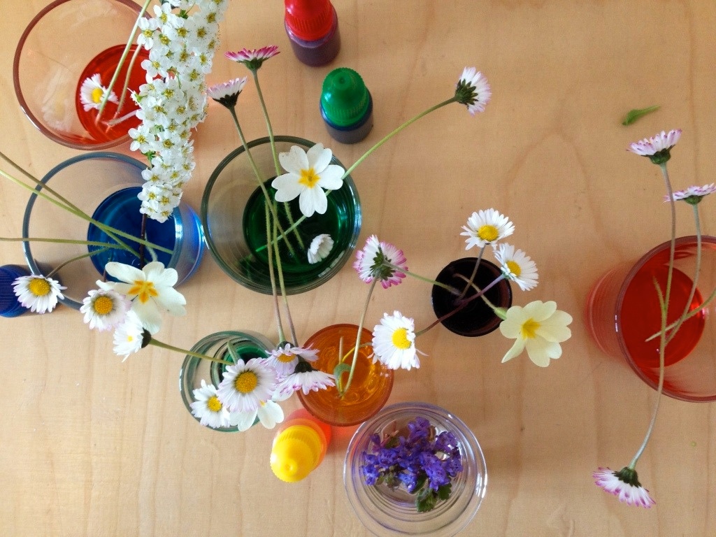 schaeresteipapier: Experiment mit Blumen und Farbe