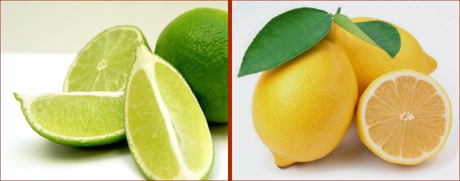 27 Gambar Warna Kuning Lemon  Gani Gambar