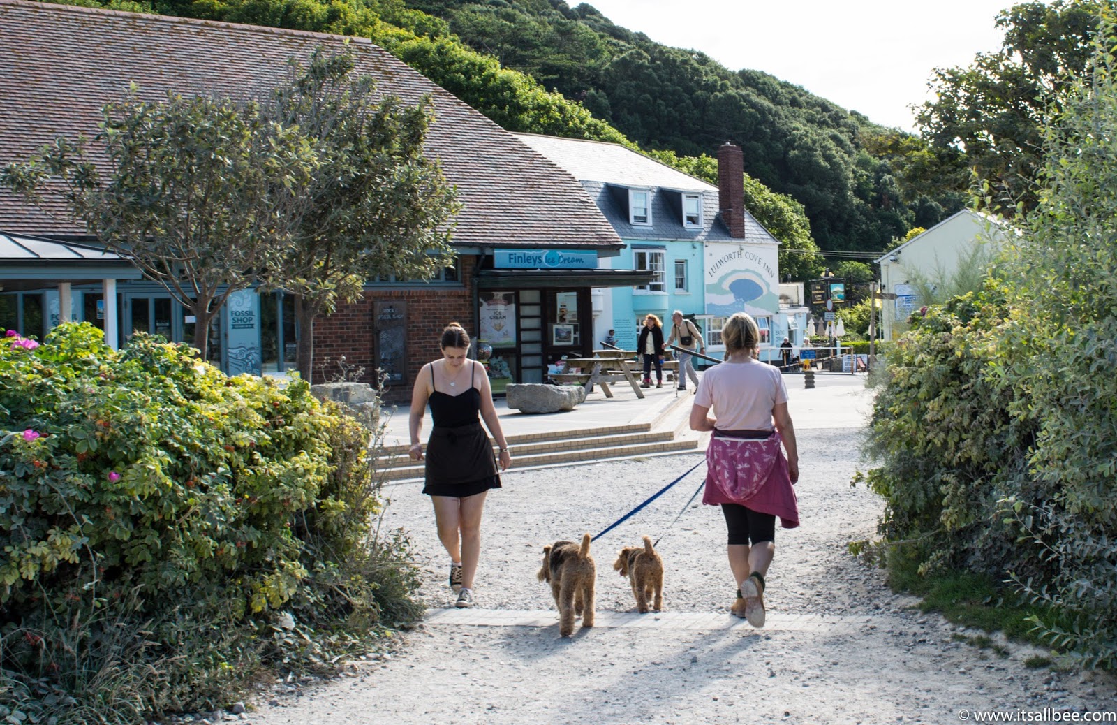lulworth cove walks in Dorset England | lulworth cove pictures