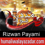 https://humaliwalaazadar.blogspot.com/2019/08/rizwan-payami-nohay-2020.html