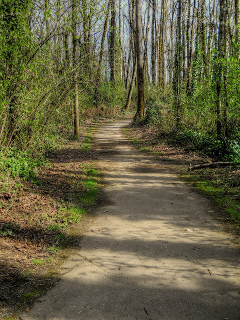 Thom Zehrfeld Photography : Meldrum Bar Park Thom Zehrfeld Photography : Meldrum Bar Park