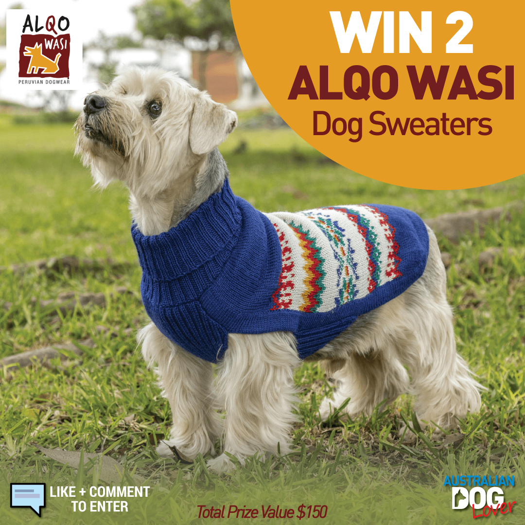 Australia dog jersey Clearance