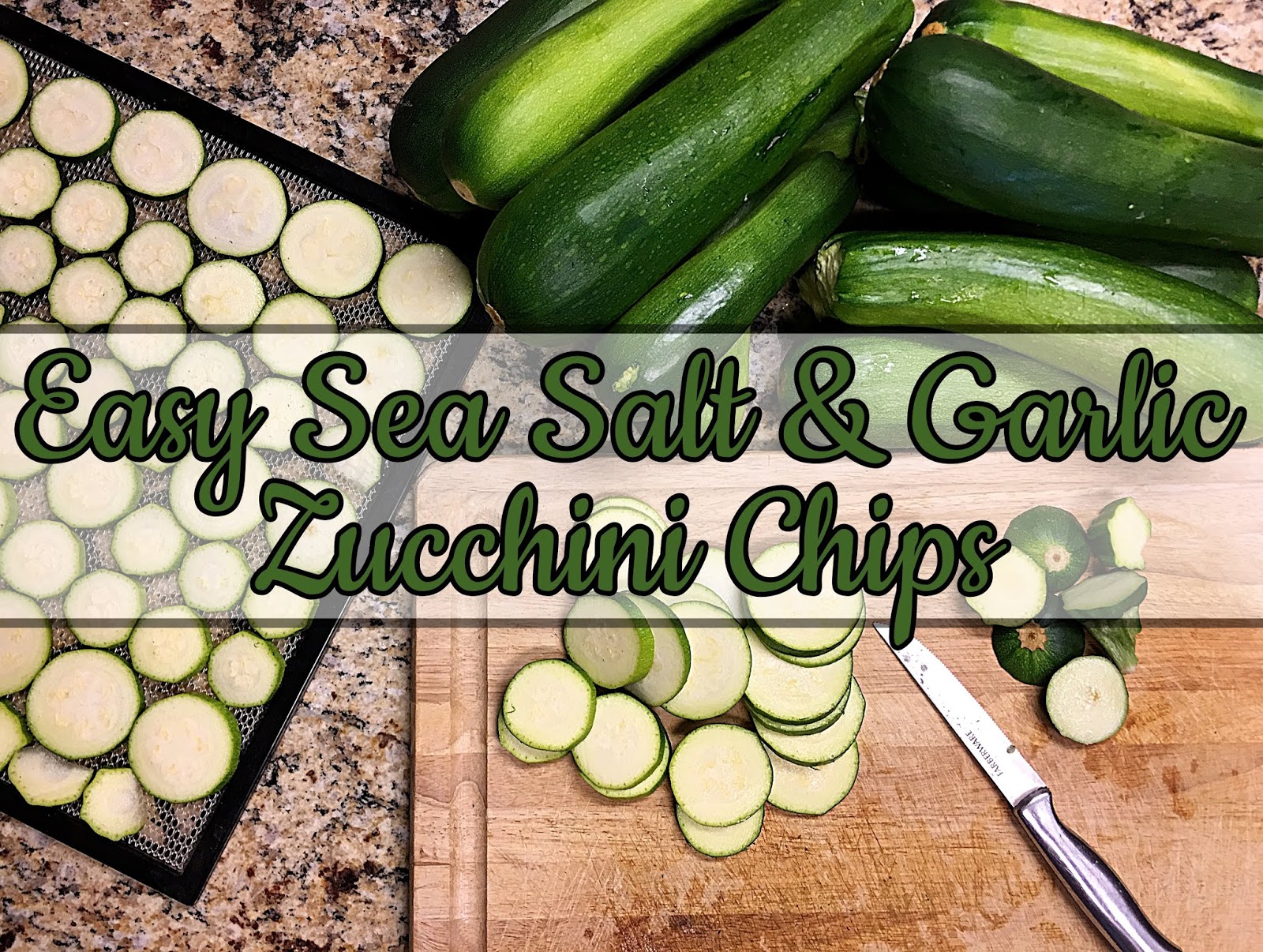 Country Mama To Many Easy Dehydrator Zucchini Chips