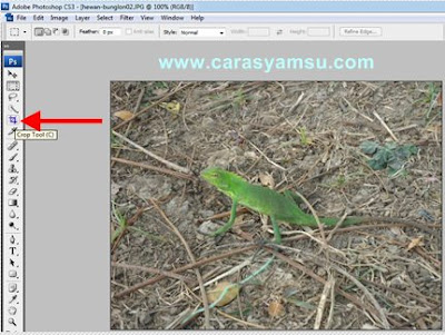 gambar misalnya ukuran gambar terlalu besar Cara Croping Foto di Adobe Photoshop CS3/CS4/CS5/CS6