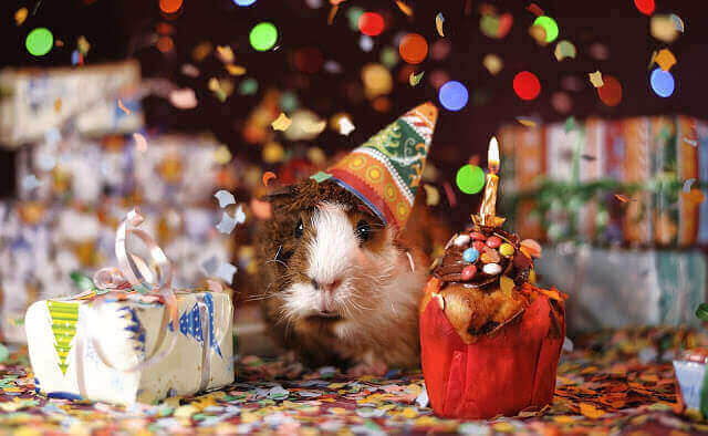 Happy Birthday Wishes for boyfriend Happy Birthday Wishes for boyfriend