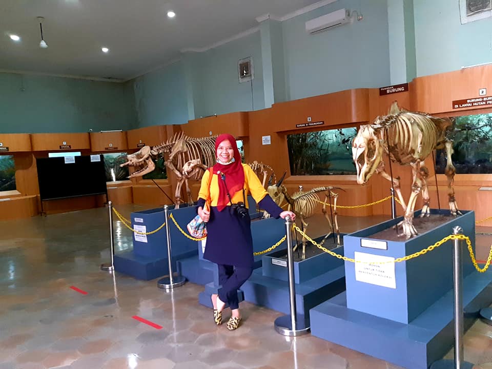 Museum Zoologi Bogor Wisata Edukasi Mengenal Hewan Langka Nurul Sufitri Travel Lifestyle Blog