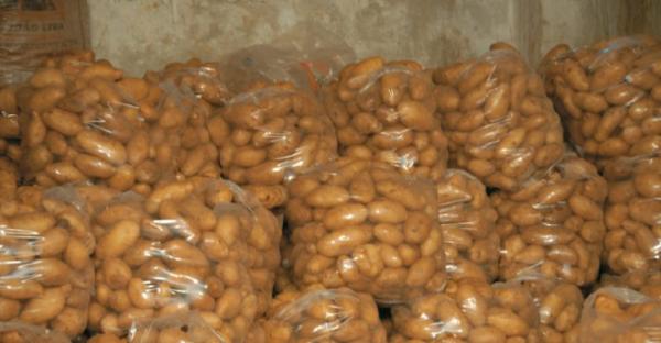 إحدى صالات السورية للتجارة بالسويداء تجبر المواطنين على شراء البطاطا مع السكر.