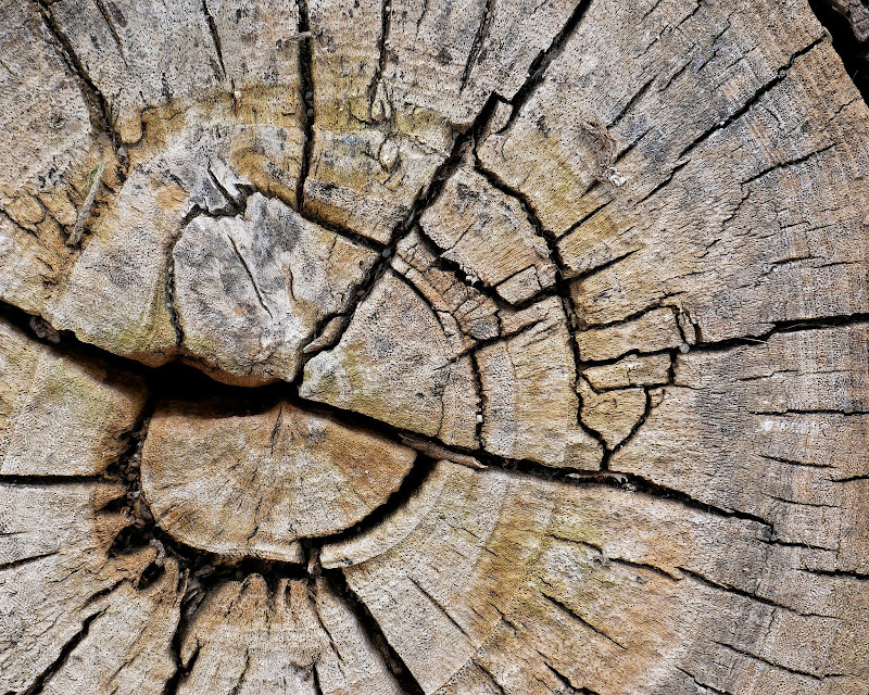 nitideces-de-miguel-grietas-en-la-madera