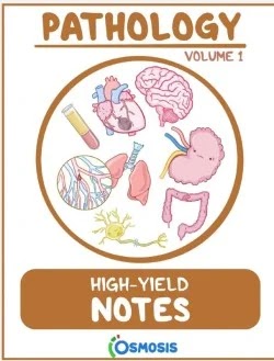 Download Osmosis Pathology High Yield Notes Volume 1 PDF