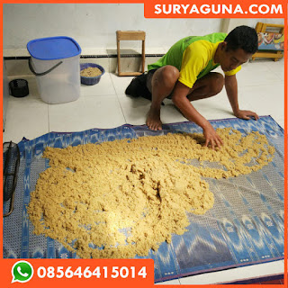 Jual Telur Jangkrik Banyuwangi