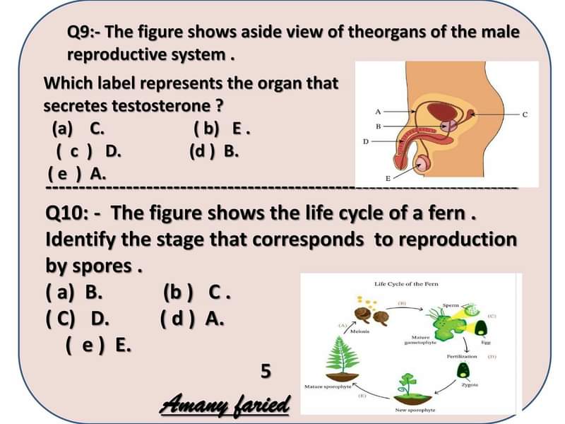  نموذج اختبار biology بالإجابات لطلاب الثانوية العامة 2021  5