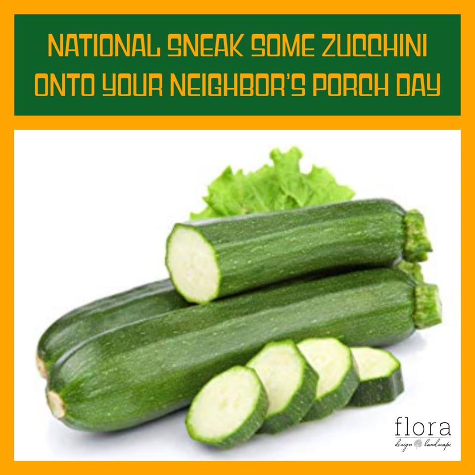 National Sneak Some Zucchini Onto Your Neighbor's Porch Day Wishes
