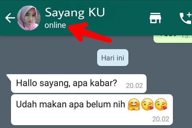 Cara menghilangkan status online di whatsapp