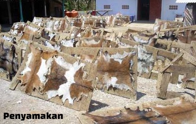 Kerajinan Bahan Dasar Kulit Yang Terkenal Sejak Zaman Dahulu Adalah Kita