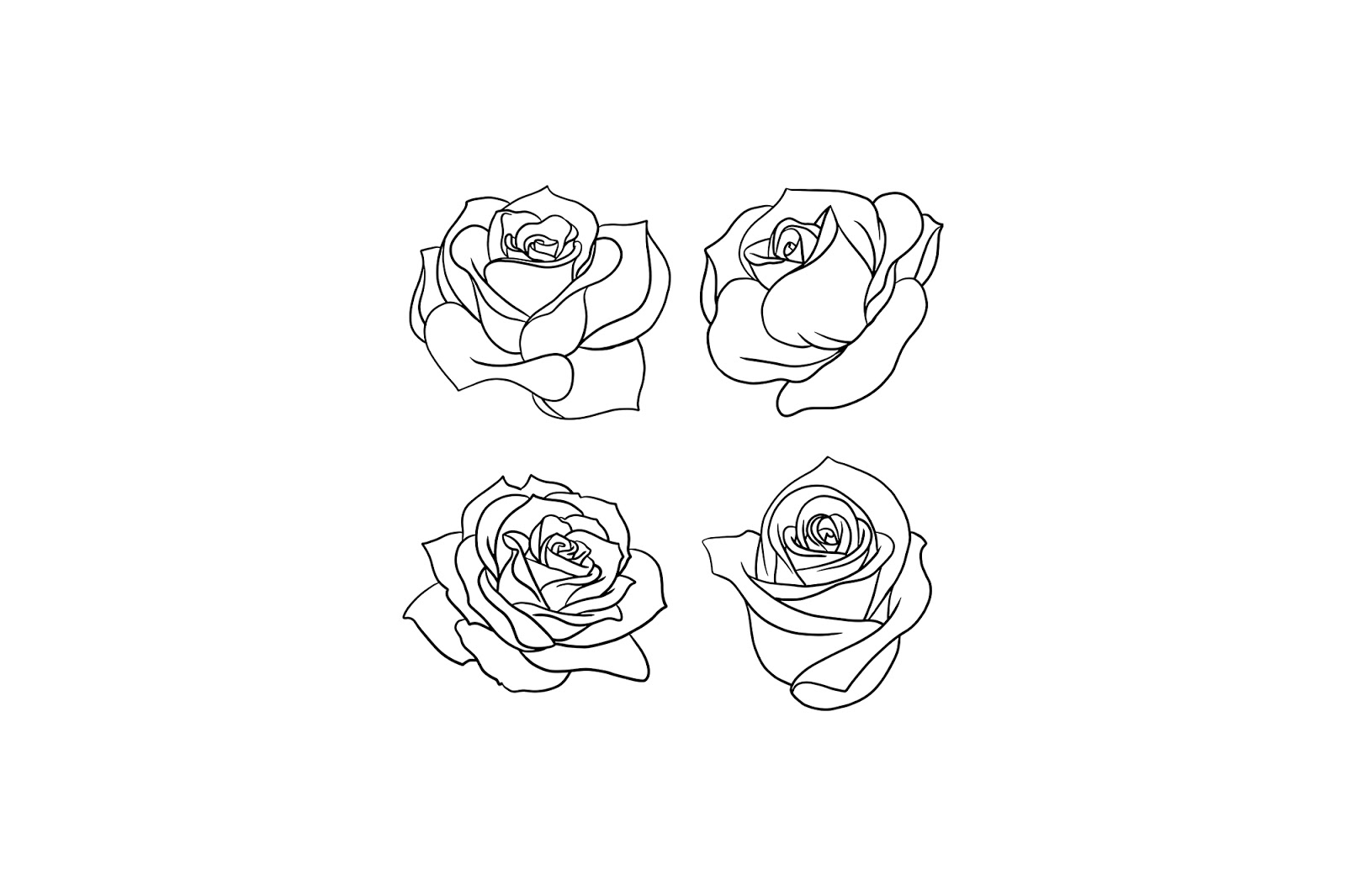 Library Of Rose Flower Graphic Download Png Png Files