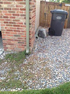 colorado sweet really