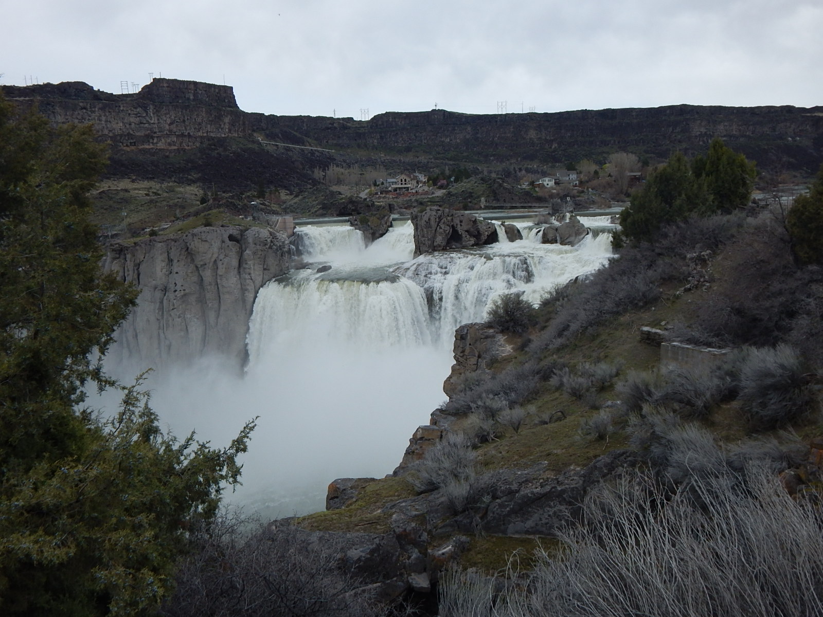Idaho PugRanch Day Trip to Shoshone Falls!
