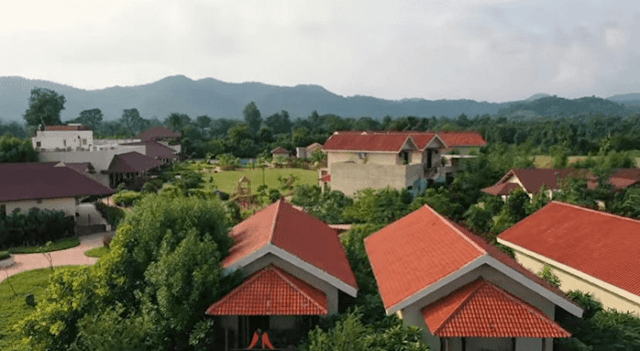 polo forest