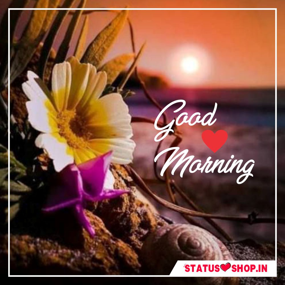 500+ Beautiful Good Morning Images, Pictures, & Morning Wishes 2023