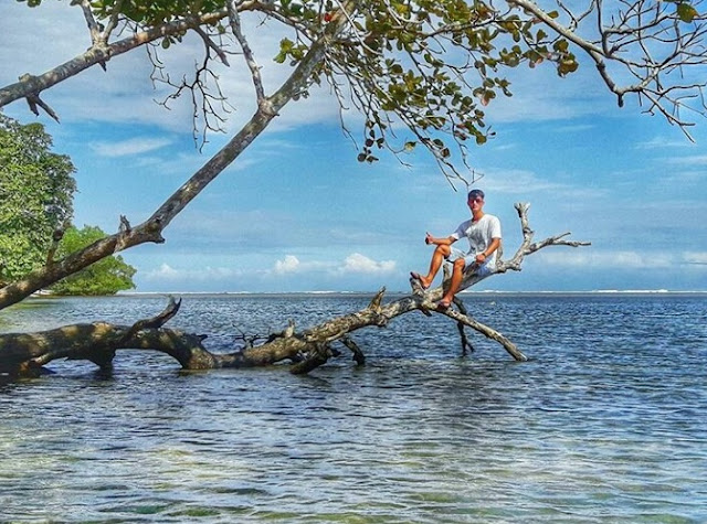 Keindahan Pantai Sancang Plus Misteri Prabu Siliwangi Keindahan Pantai Sancang Plus Misteri Prabu Siliwangi