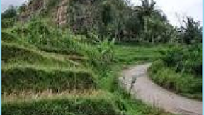 Asal Usul Gunung Wurung (Cerita dari Kebumen) #gunung