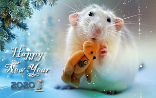 Belle carte du nouvel an pour l'année des souris et des rats 2024. Gratuit, belles cartes de Noël en direct dans l'année de la souris
