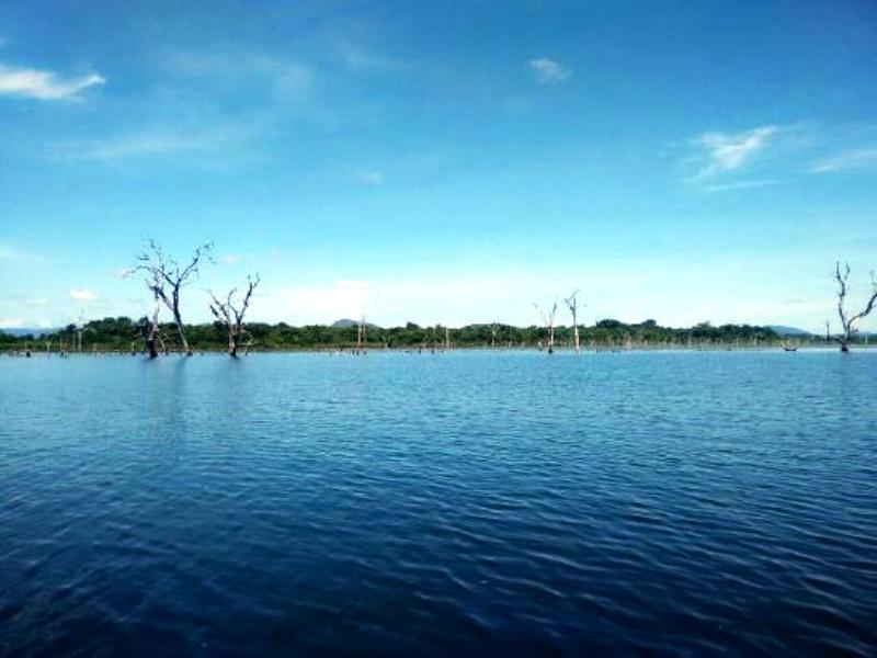 VIAGEM, TURISMO E AVENTURAS POR LUGARES INCRÍVEIS SÃO SALVADOR DO TOCANTINS / TOCANTINS VIAGEM, TURISMO E AVENTURAS POR LUGARES INCRÍVEIS SÃO SALVADOR DO TOCANTINS / TOCANTINS